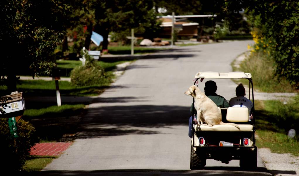 Golf Cart