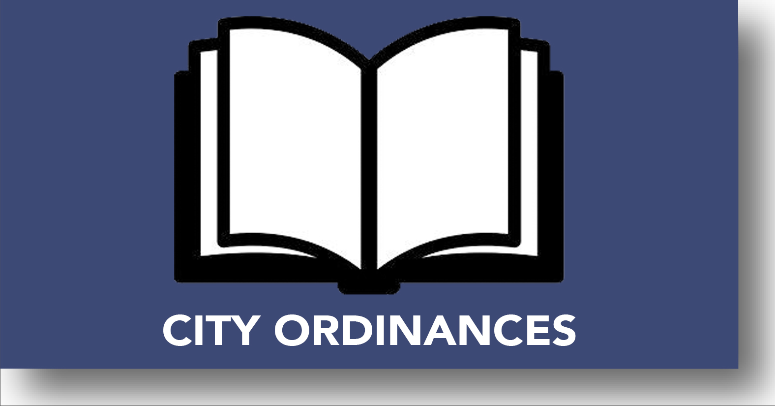 City Ordinances