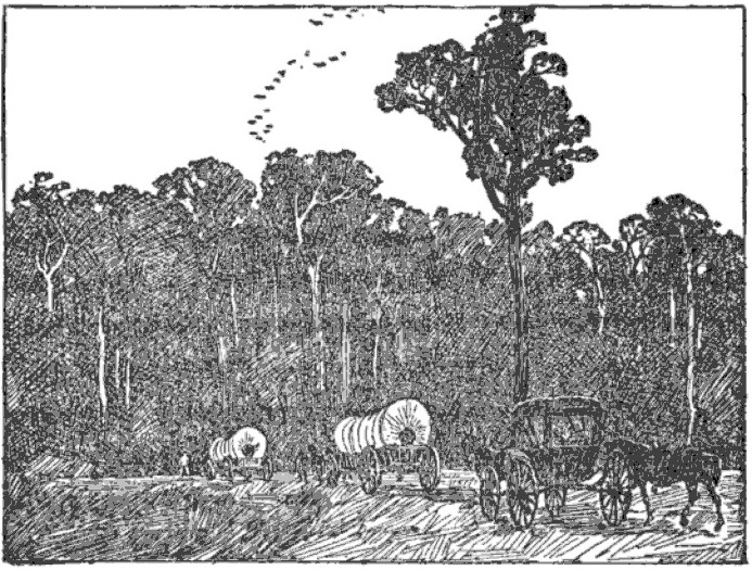 Pioneers